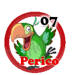 Perico